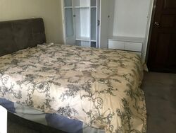 Balestier Regency (D12), Apartment #523762121